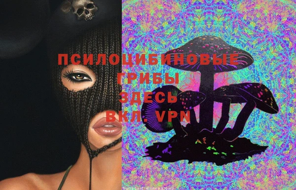 МДПВ Белокуриха